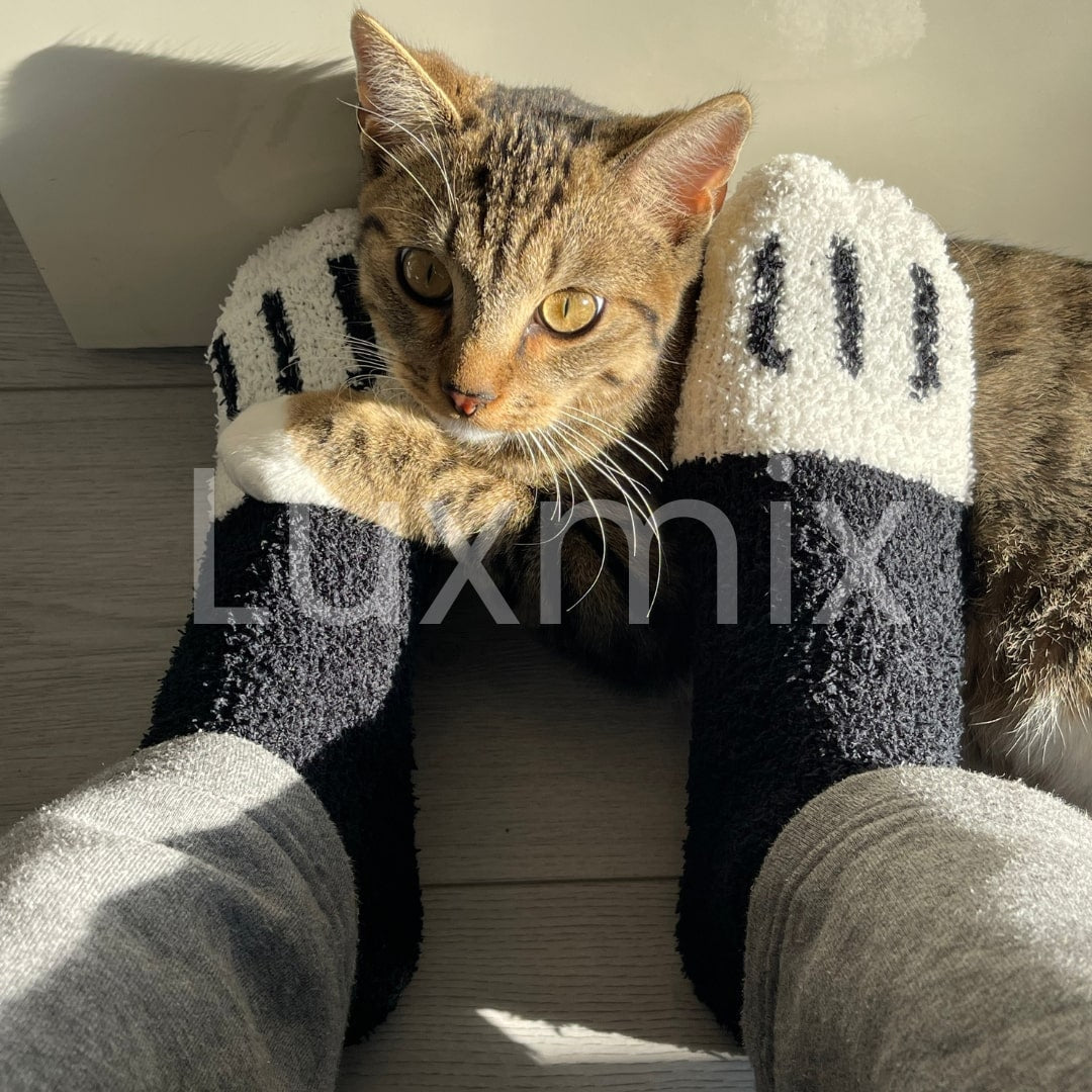 3+3 FREE | CuddleSocks - The cutest and cutest socks for colder days [Last day of sale]
