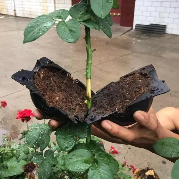 2+3 FREE | GrowBox™ - Plant Root Growing Tray [Last Day Sale]