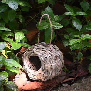 NestHaven - Provide hummingbirds with a safe home every year