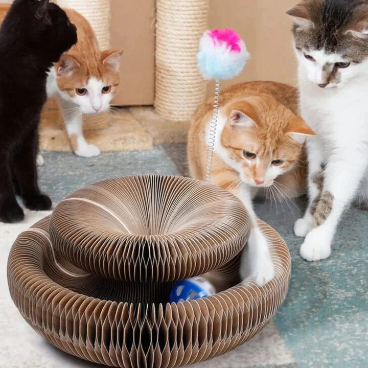 Buy One Get One Free | PetStory™ - Cat Toys 