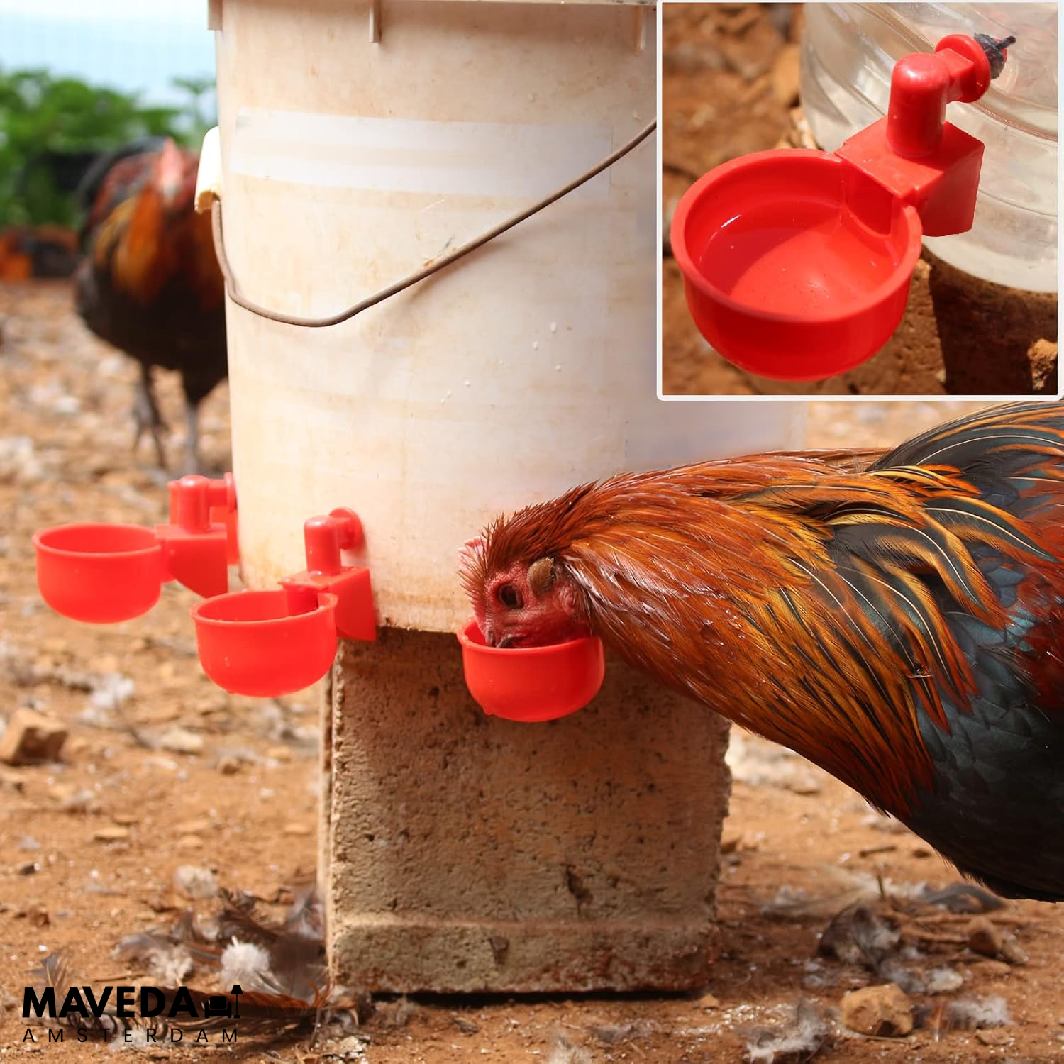 3+3 FREE | AquaNest - Fresh water for happy animals