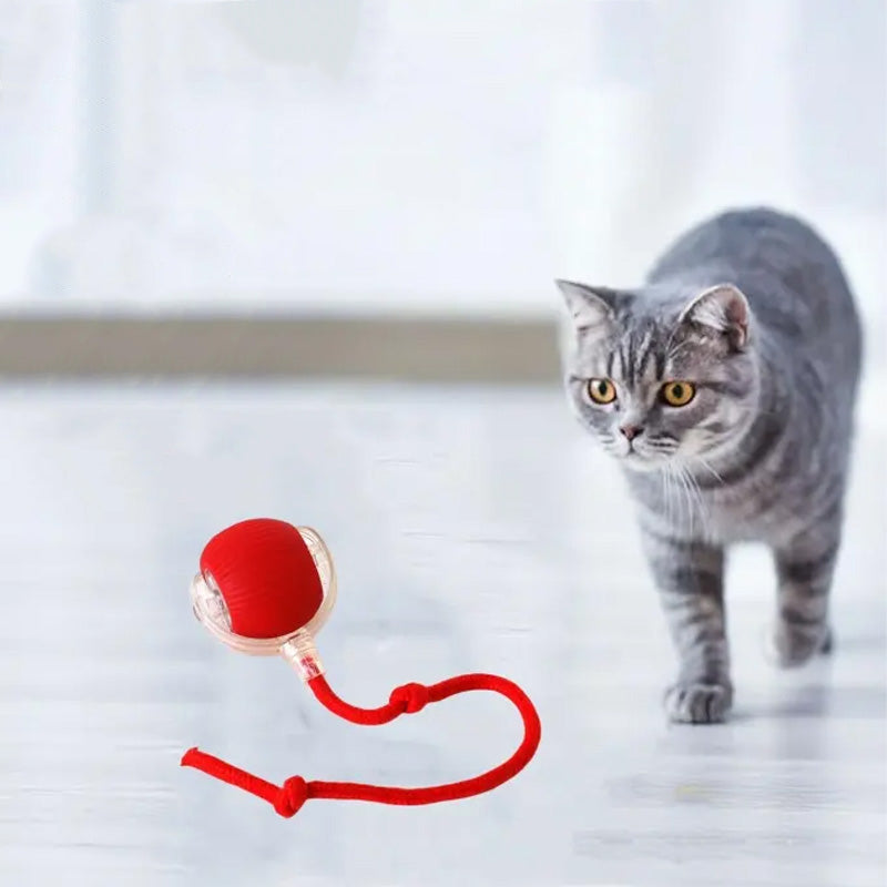 CatBounce™ - Interactive Indoor Cat Ball [Last Day Sale]