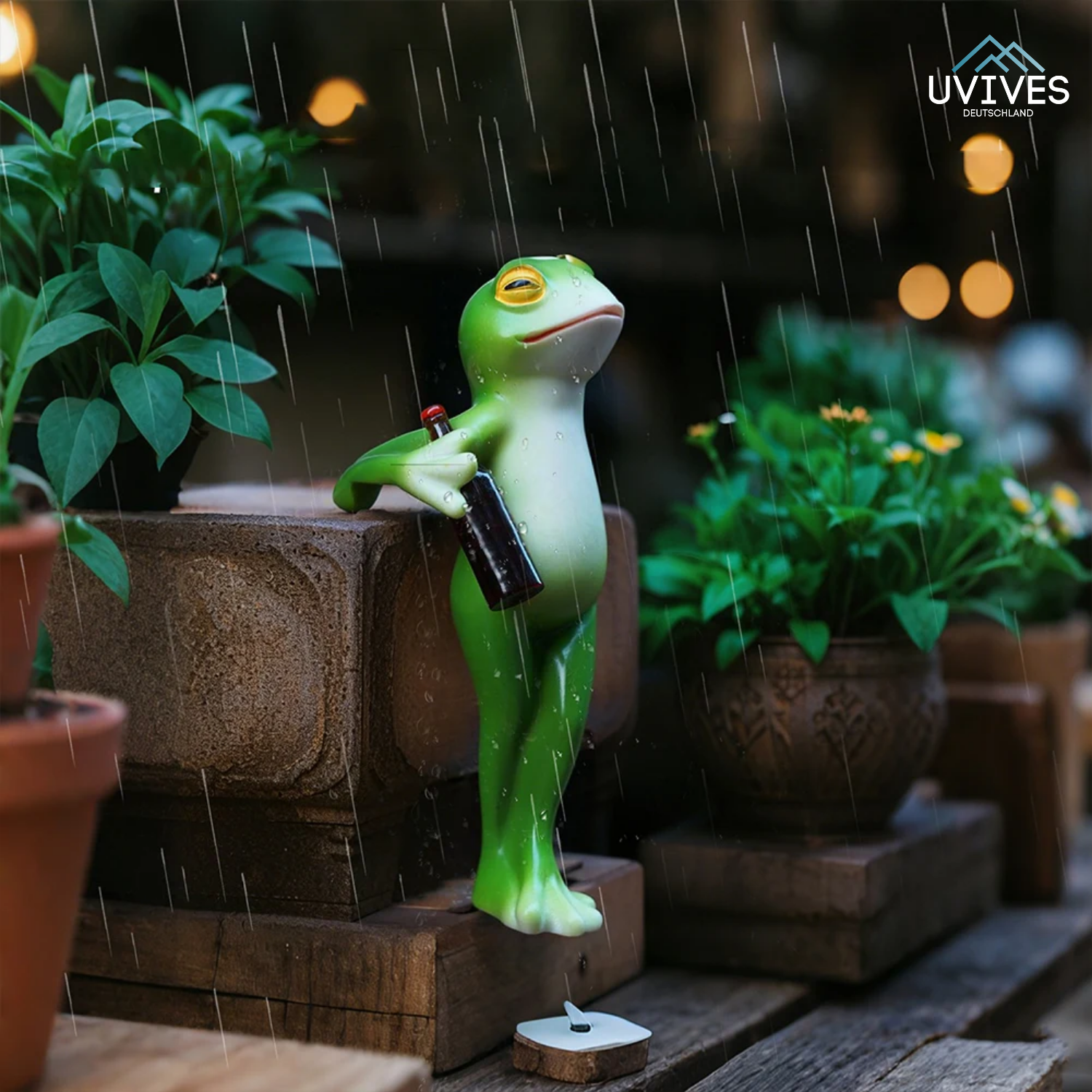FrogWhimsy - The cheeky decoration for pots &amp; gardens