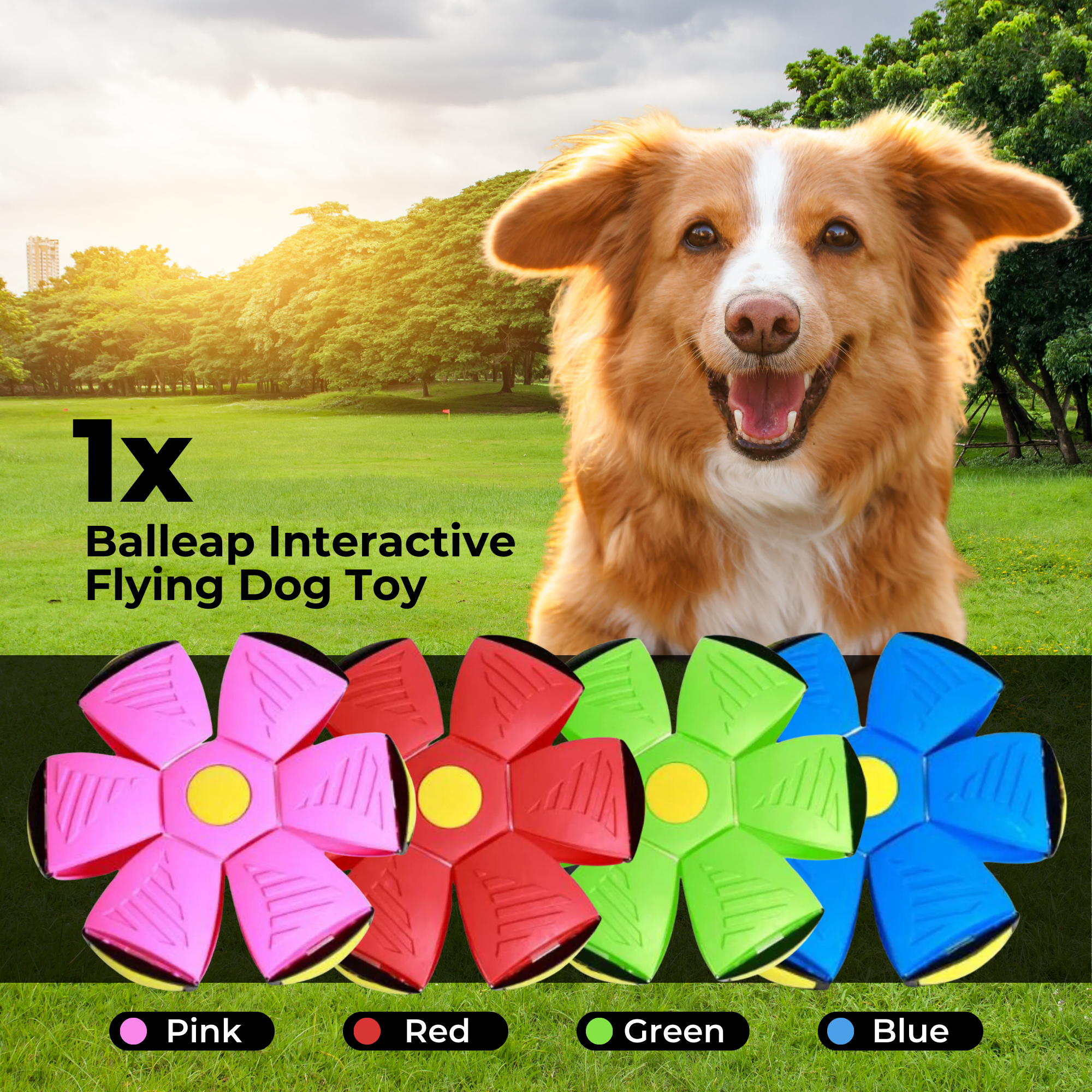 DogZoomer - Interactive Flying Dog Toy [Last Day Sale]