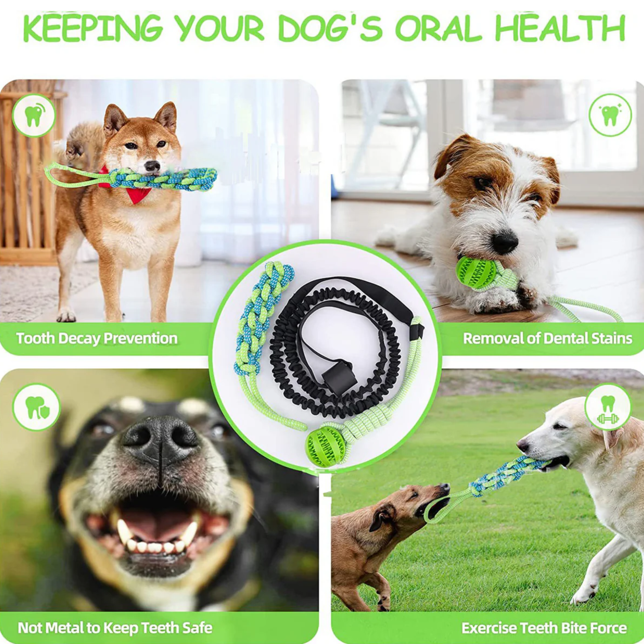 PoochLeap - Endless jumping fun for your dog [Last day sale]