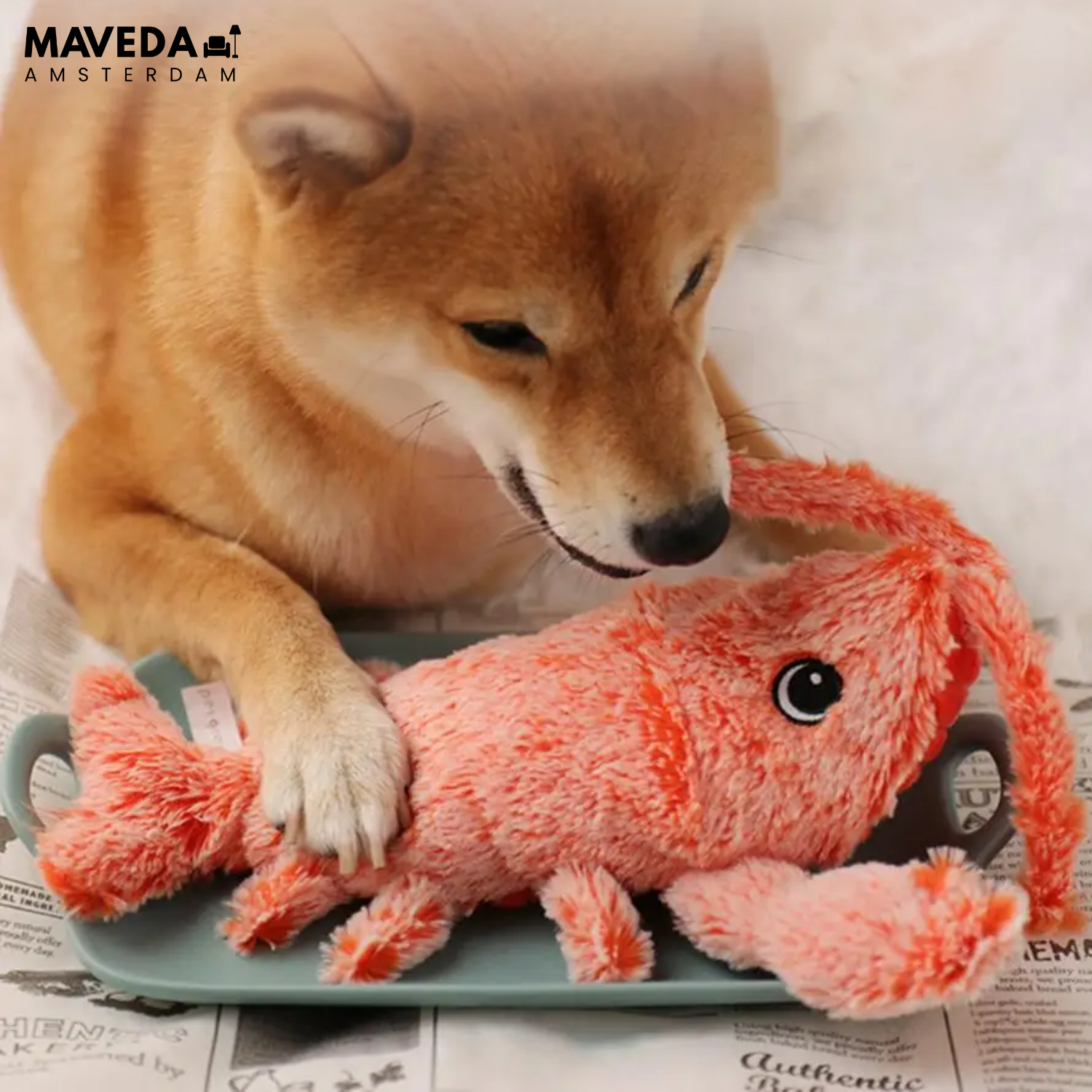 HugglePet - Interactive toys for cats and dogs