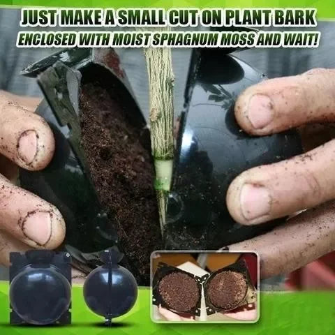 2+3 FREE | GrowBox™ - Plant Root Growing Tray [Last Day Sale]