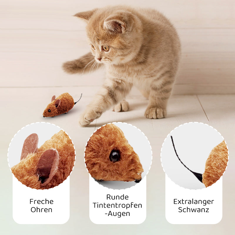 2+1 FREE | PawChase - chase, play, whine - fun for your cat!