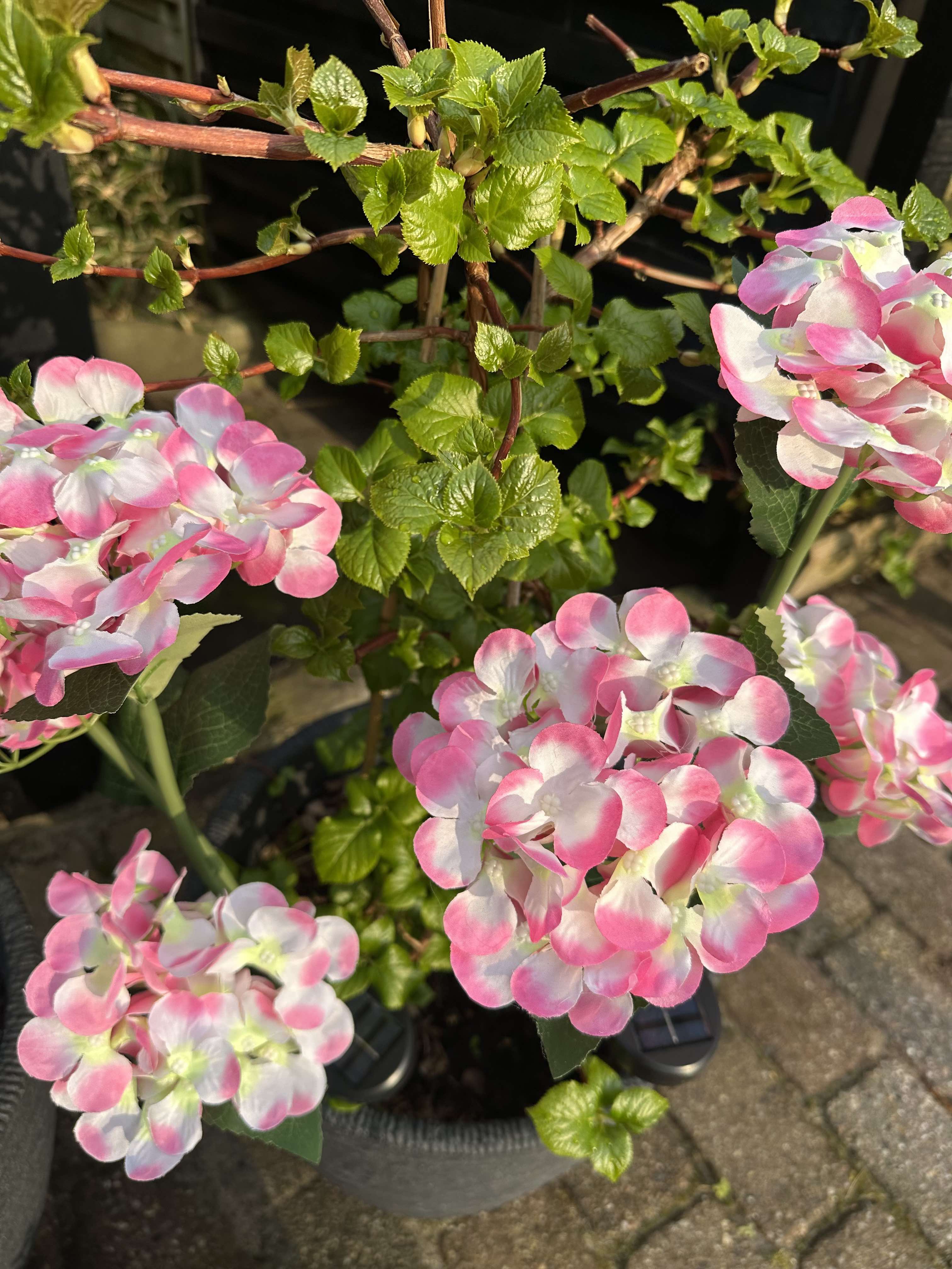 GlowFlora - Magical lighting accents for your garden