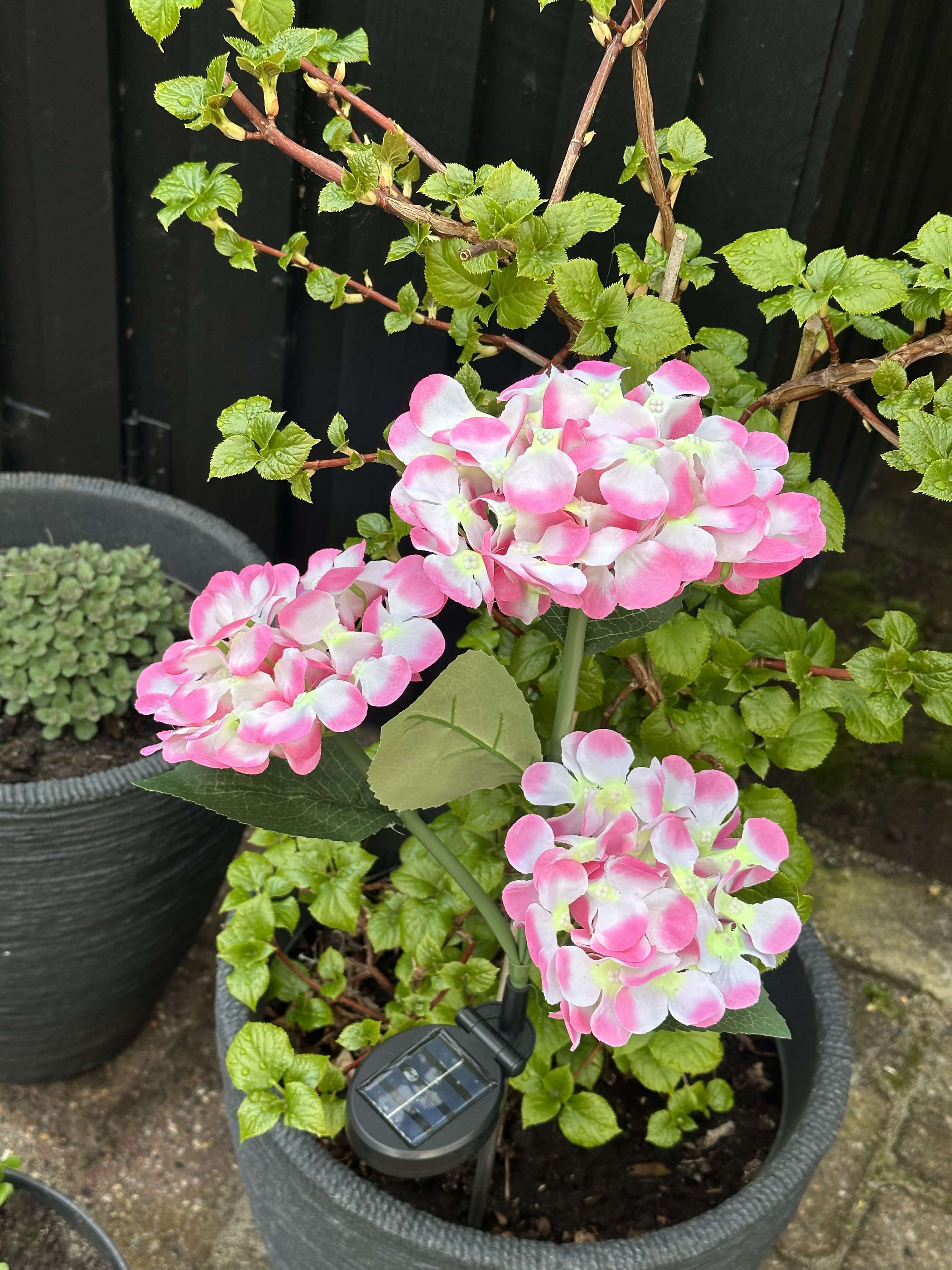 GlowFlora - Magical lighting accents for your garden