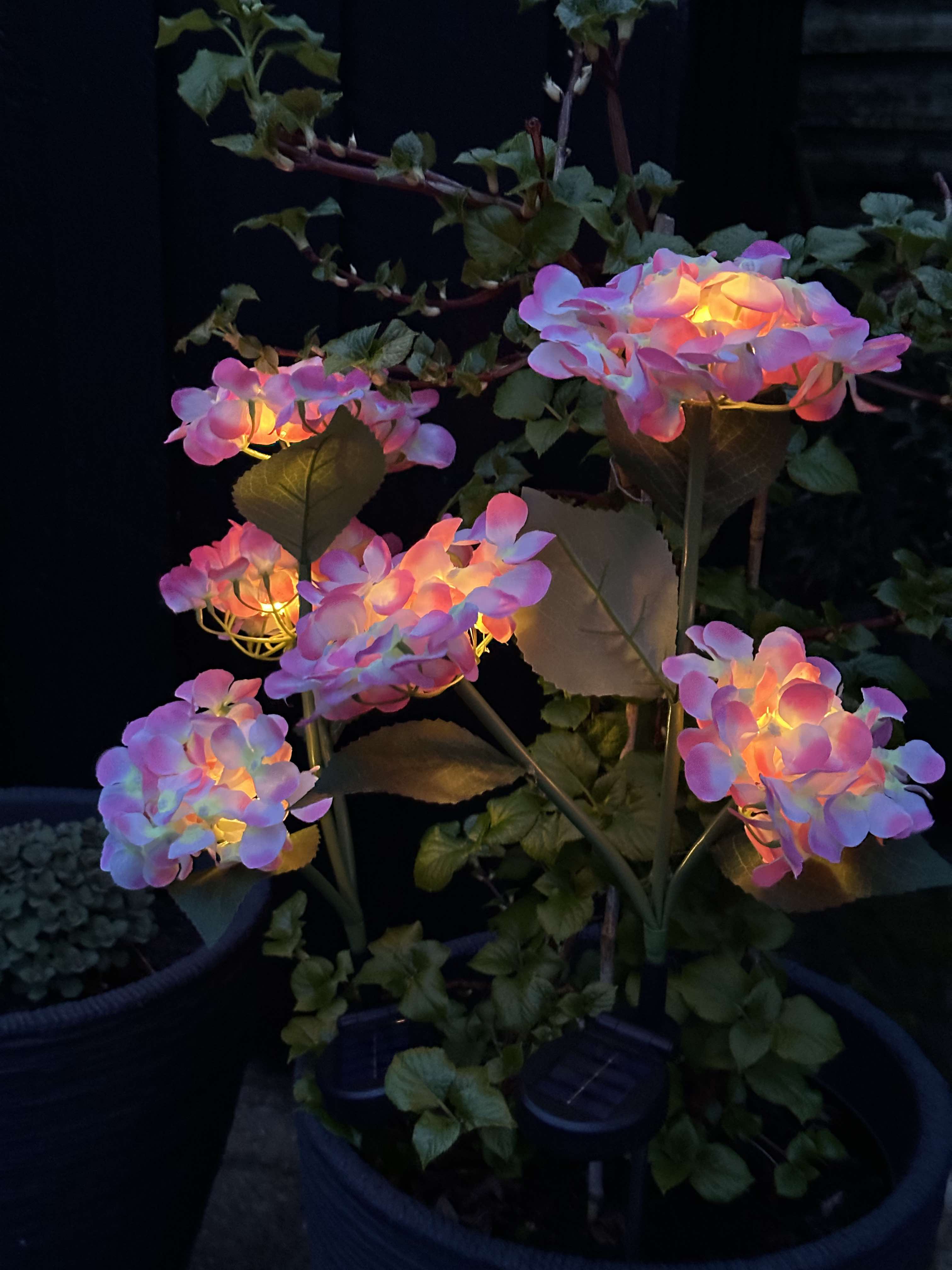 GlowFlora - Magical lighting accents for your garden