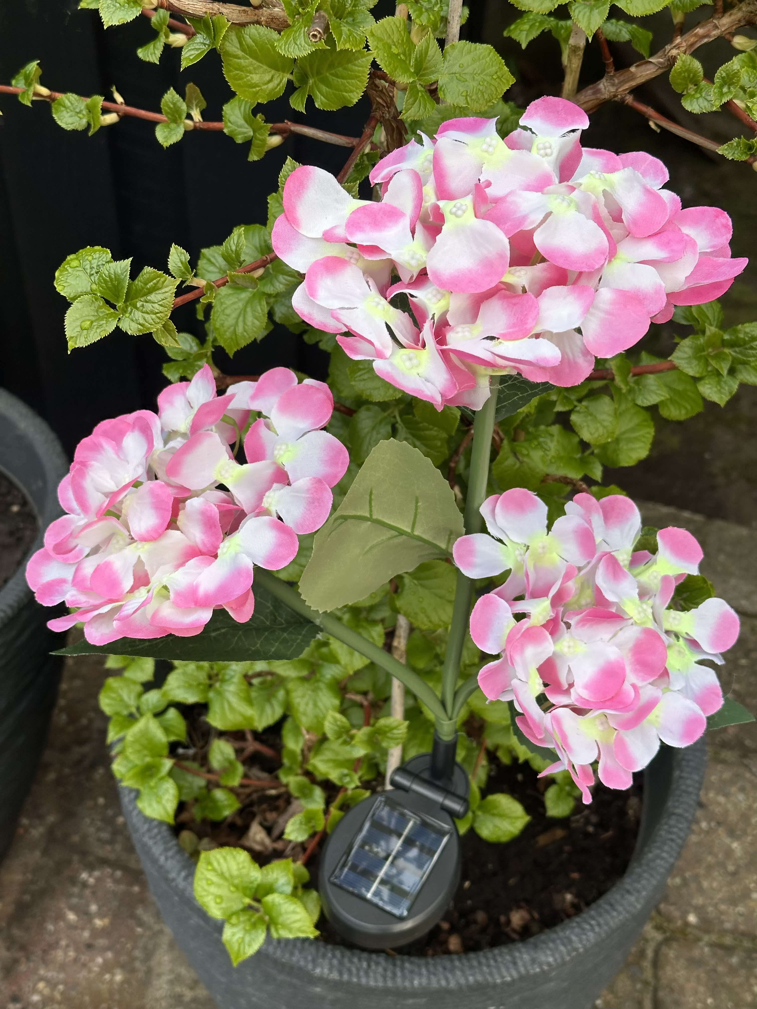 GlowFlora - Magical lighting accents for your garden