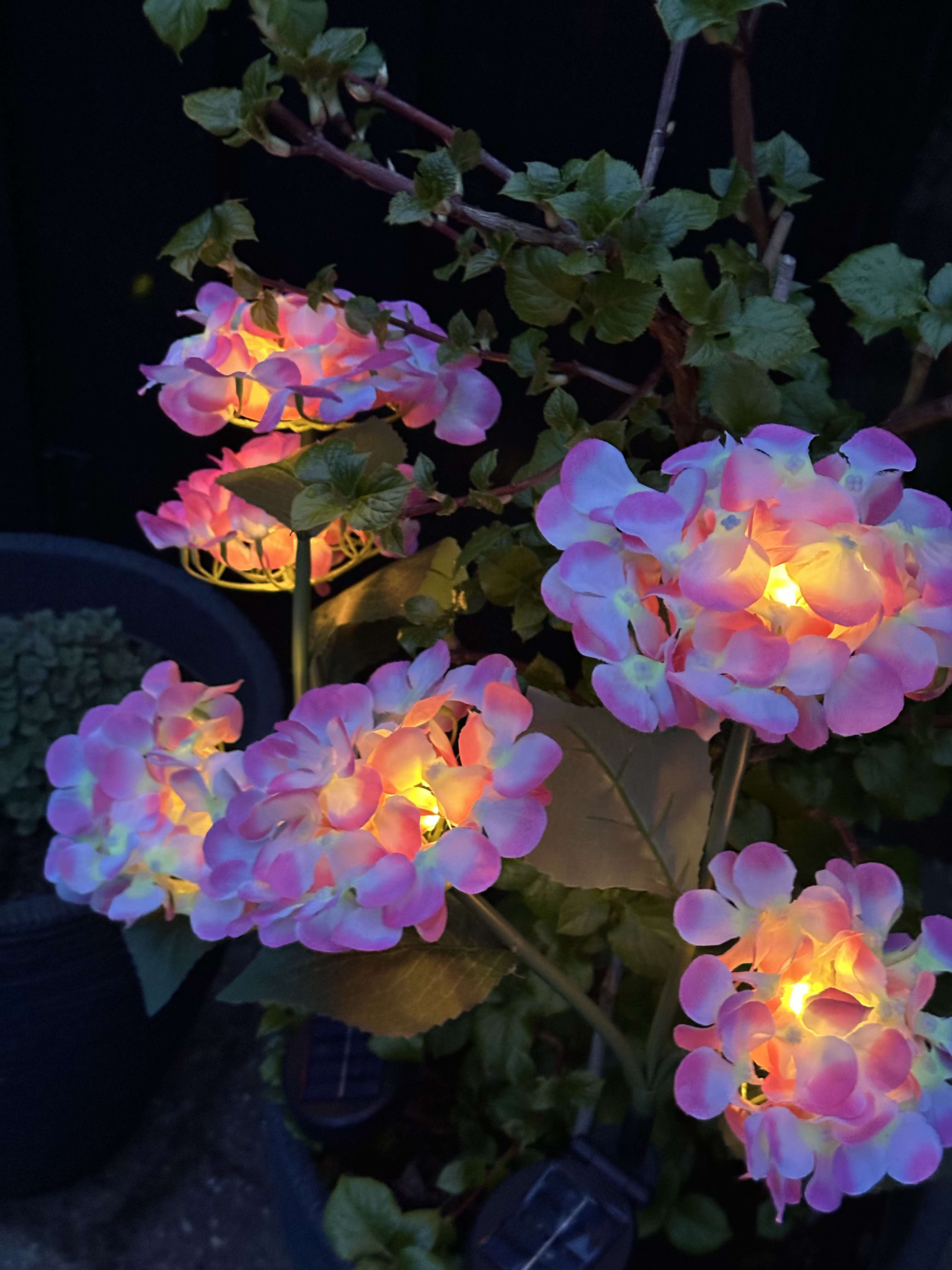 GlowFlora - Magical lighting accents for your garden