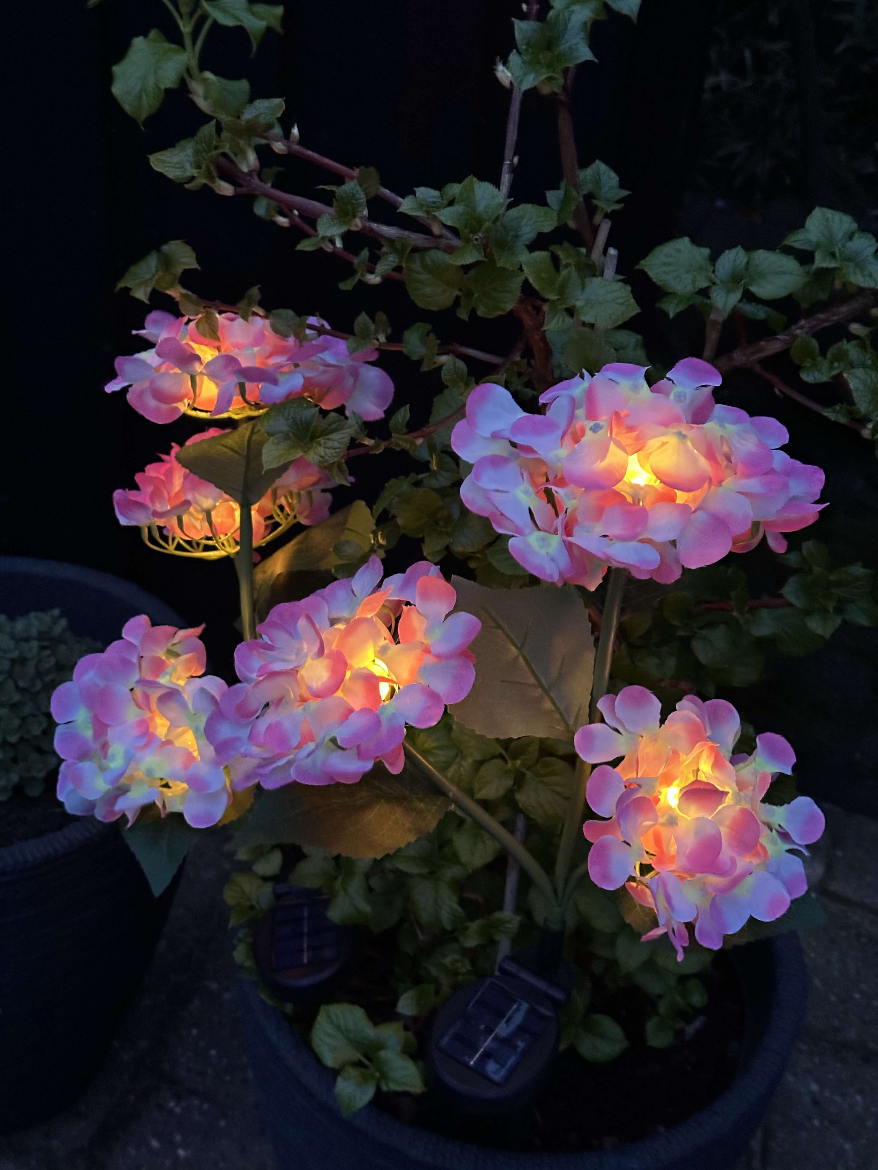 GlowFlora - Magical lighting accents for your garden