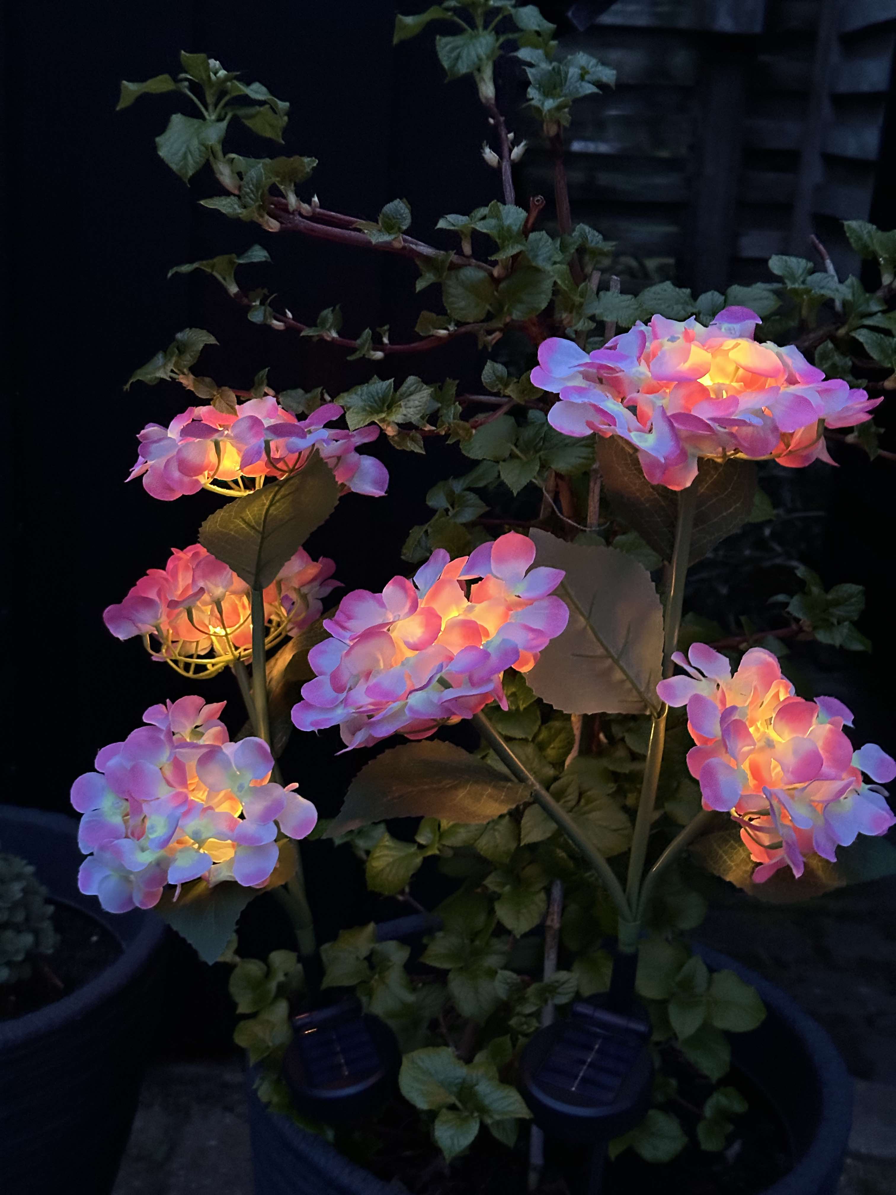 GlowFlora - Magical lighting accents for your garden