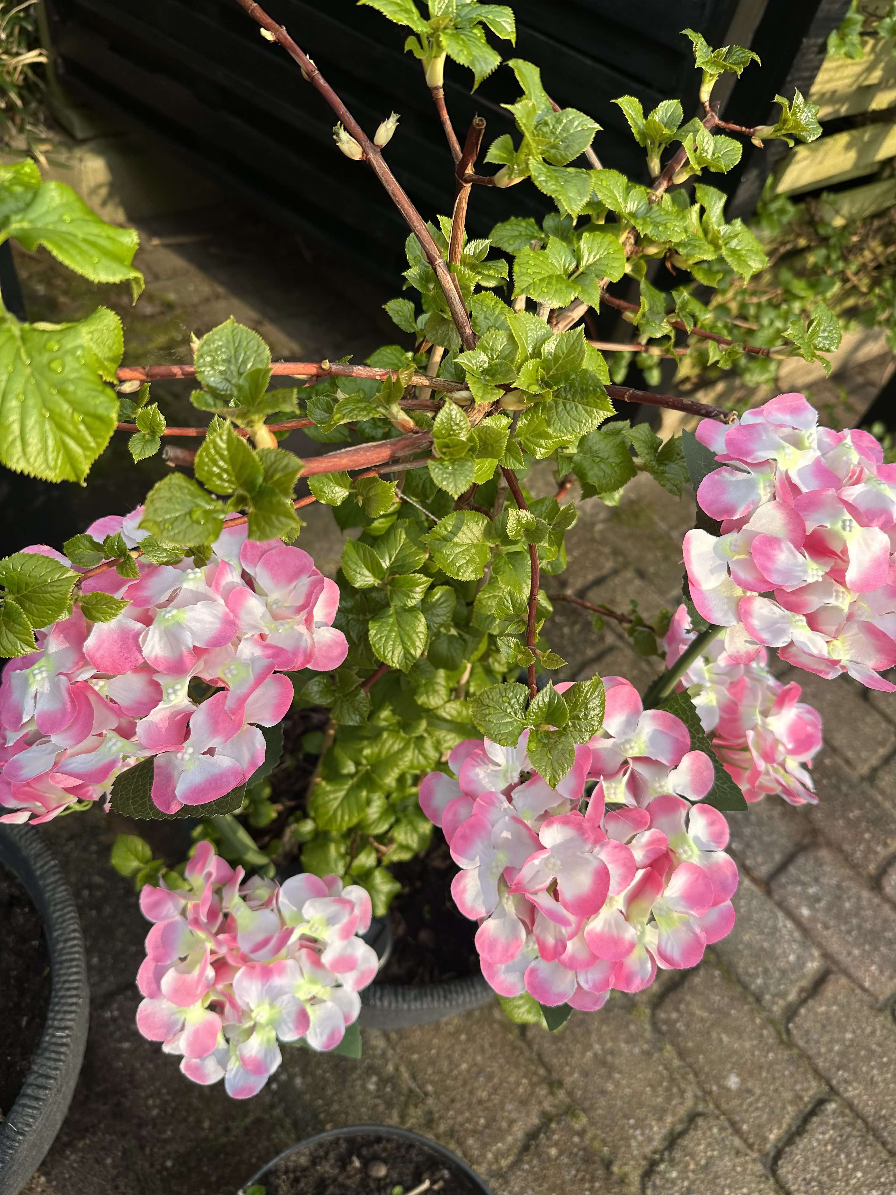 GlowFlora - Magical lighting accents for your garden