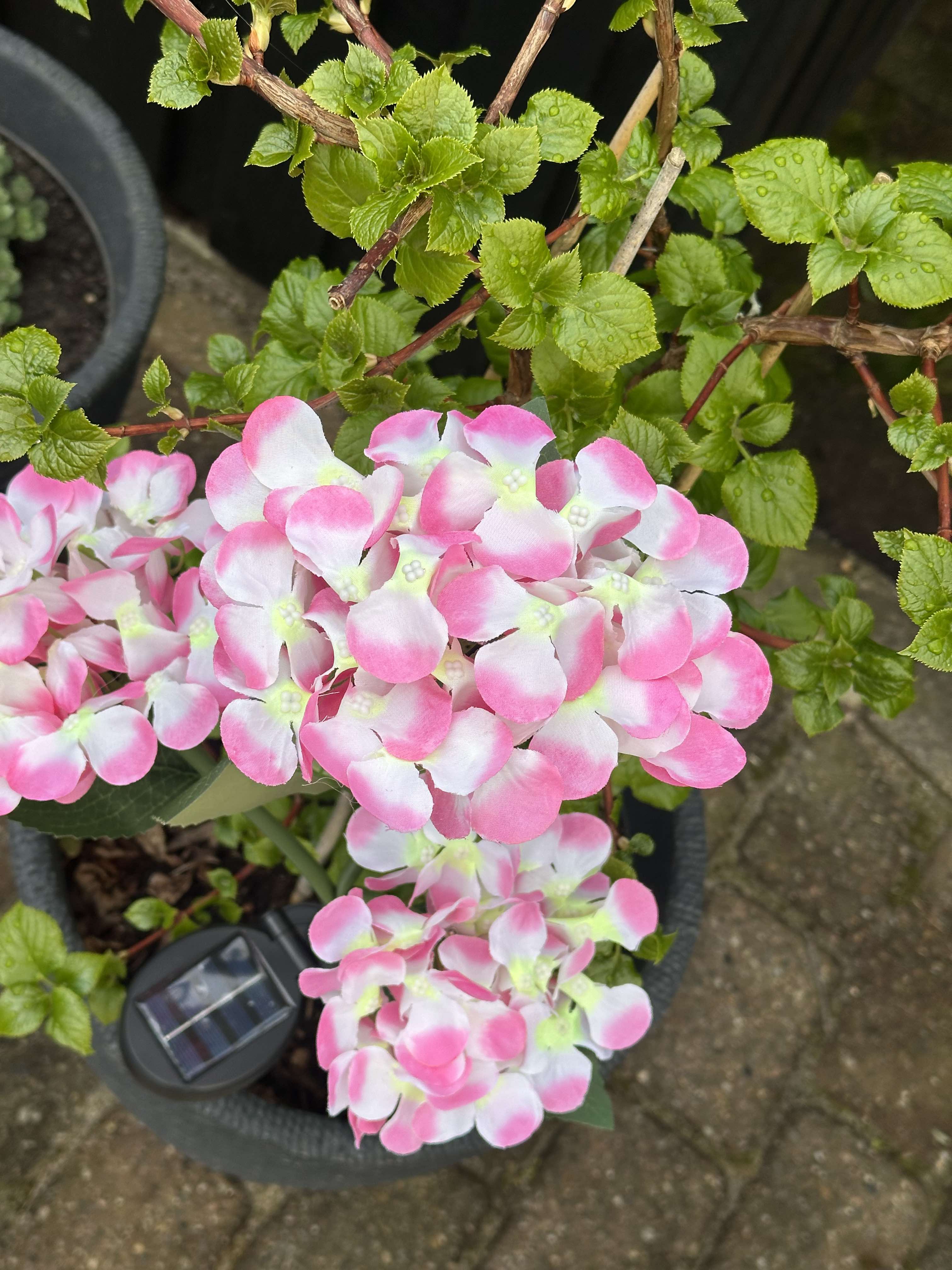GlowFlora - Magical lighting accents for your garden