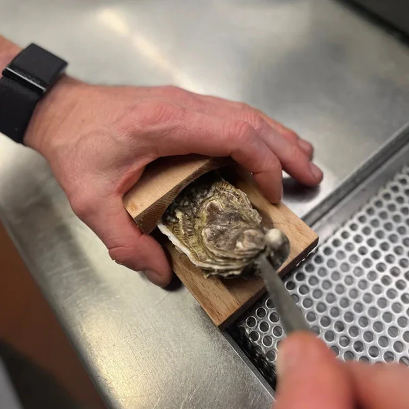 50% OFF | EasyOyster™ - Open oysters in seconds! [Last day of sale] 