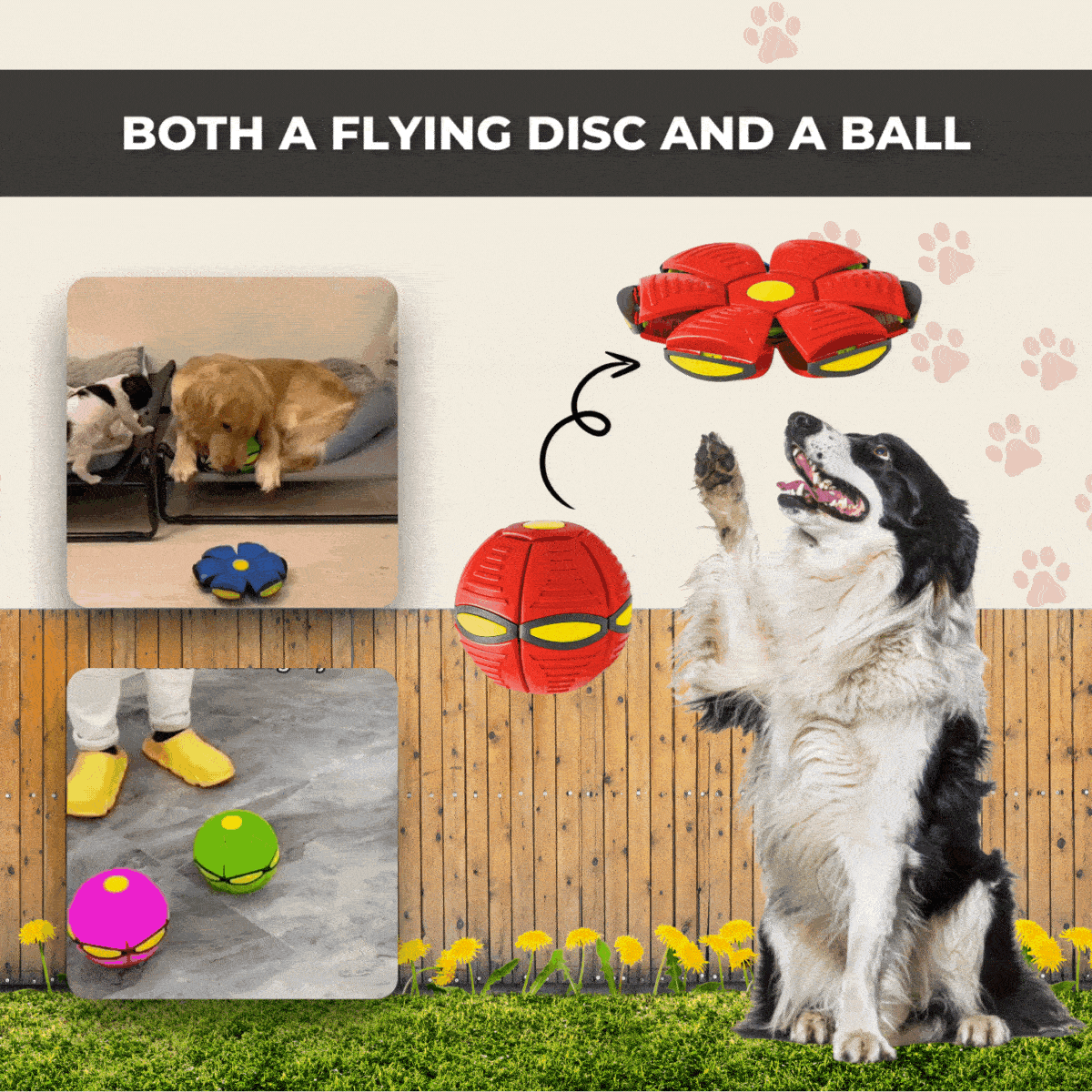 DogZoomer - Interactive Flying Dog Toy [Last Day Sale]