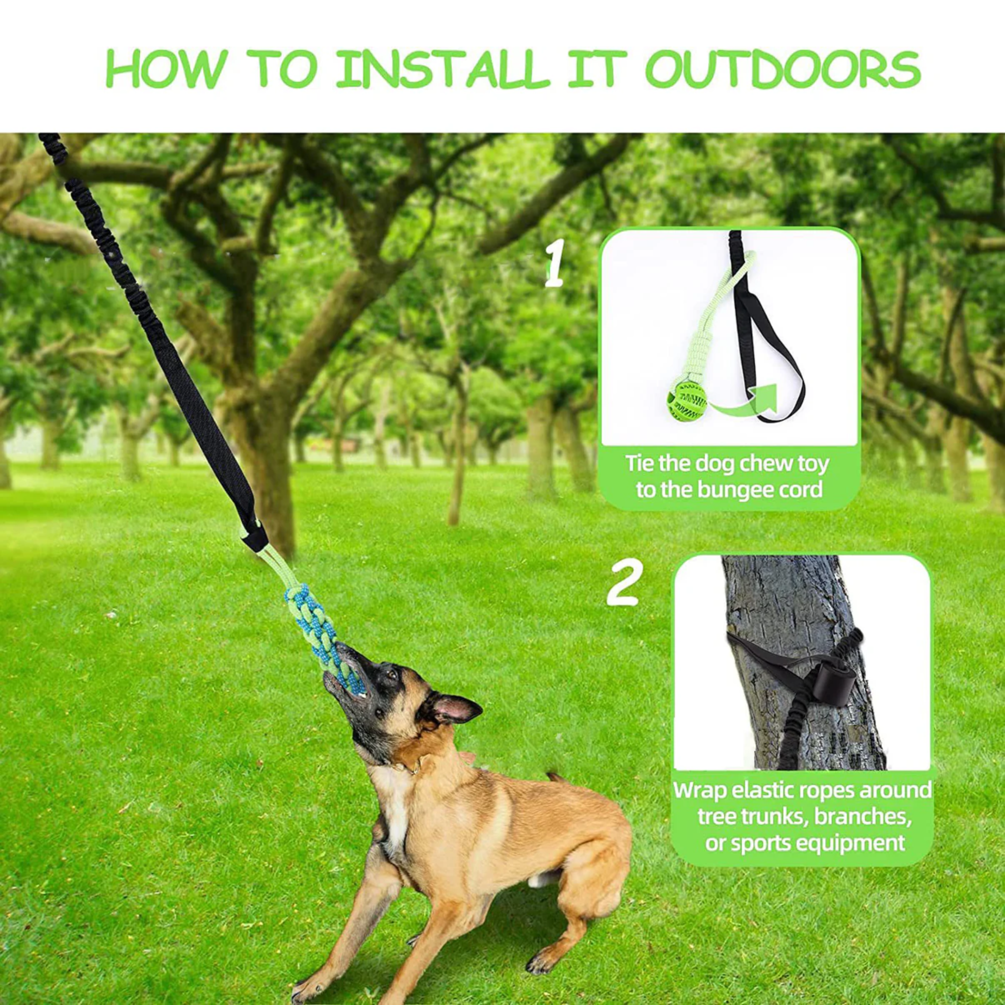 PoochLeap - Endless jumping fun for your dog [Last day sale]