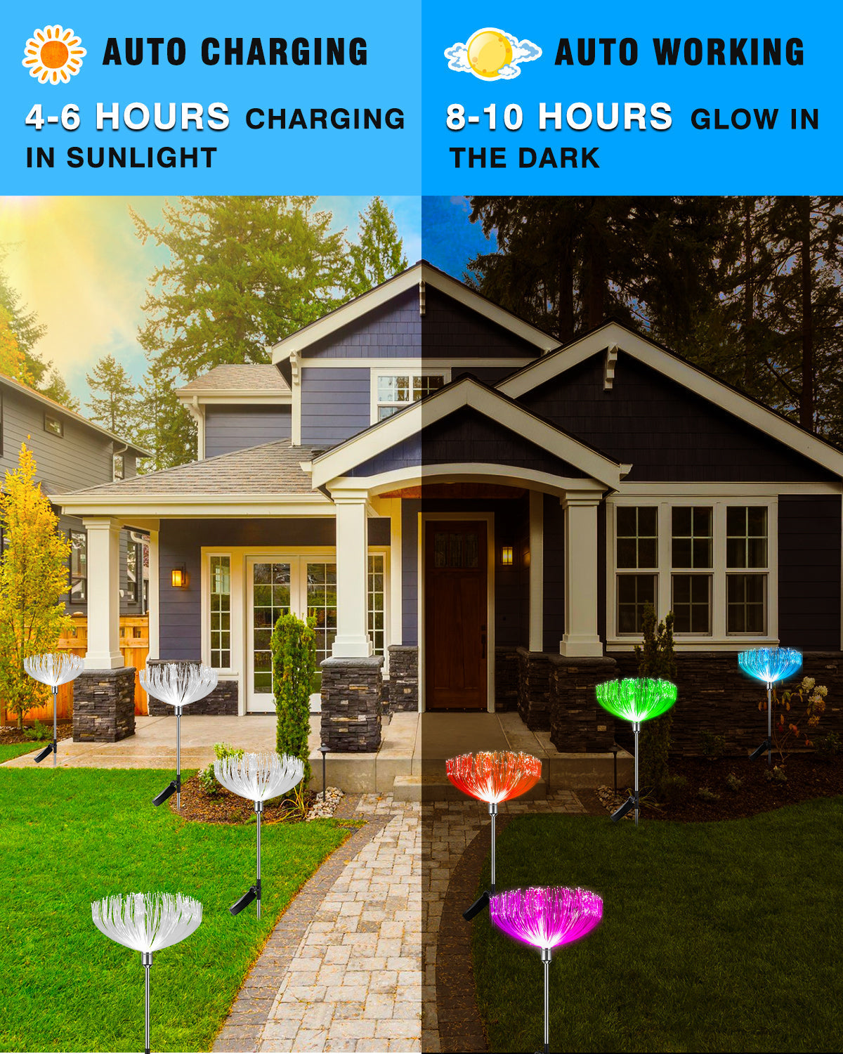 LumiPetal - Colorful sunflowers for your garden