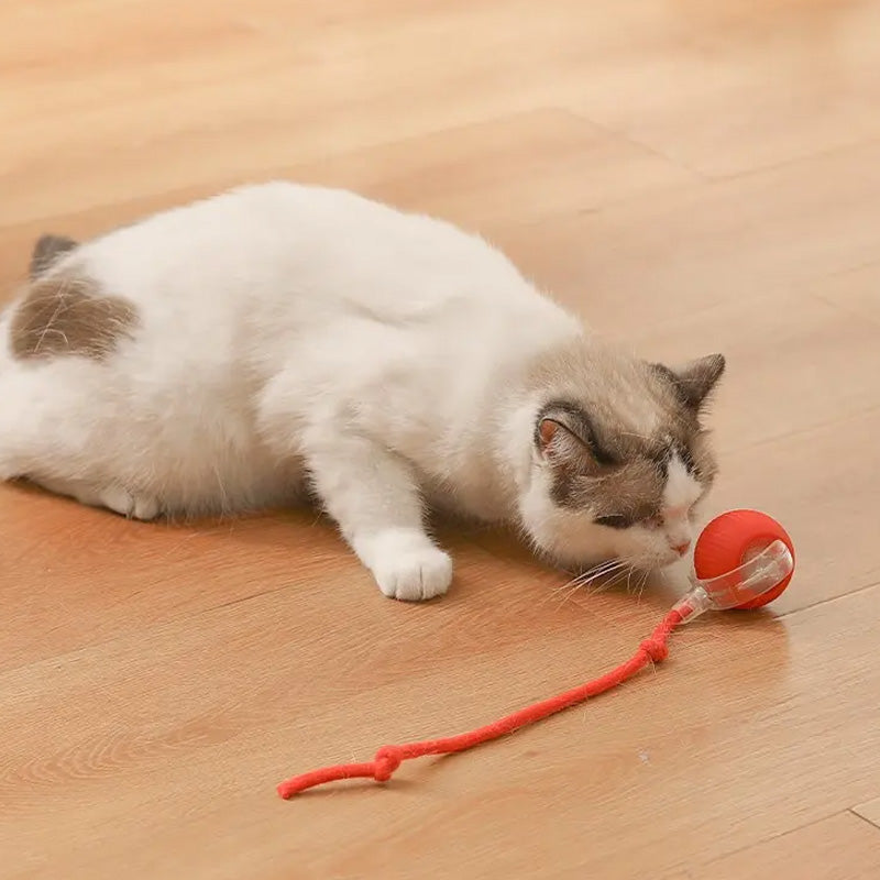 CatBounce™ - Interactive Indoor Cat Ball [Last Day Sale]