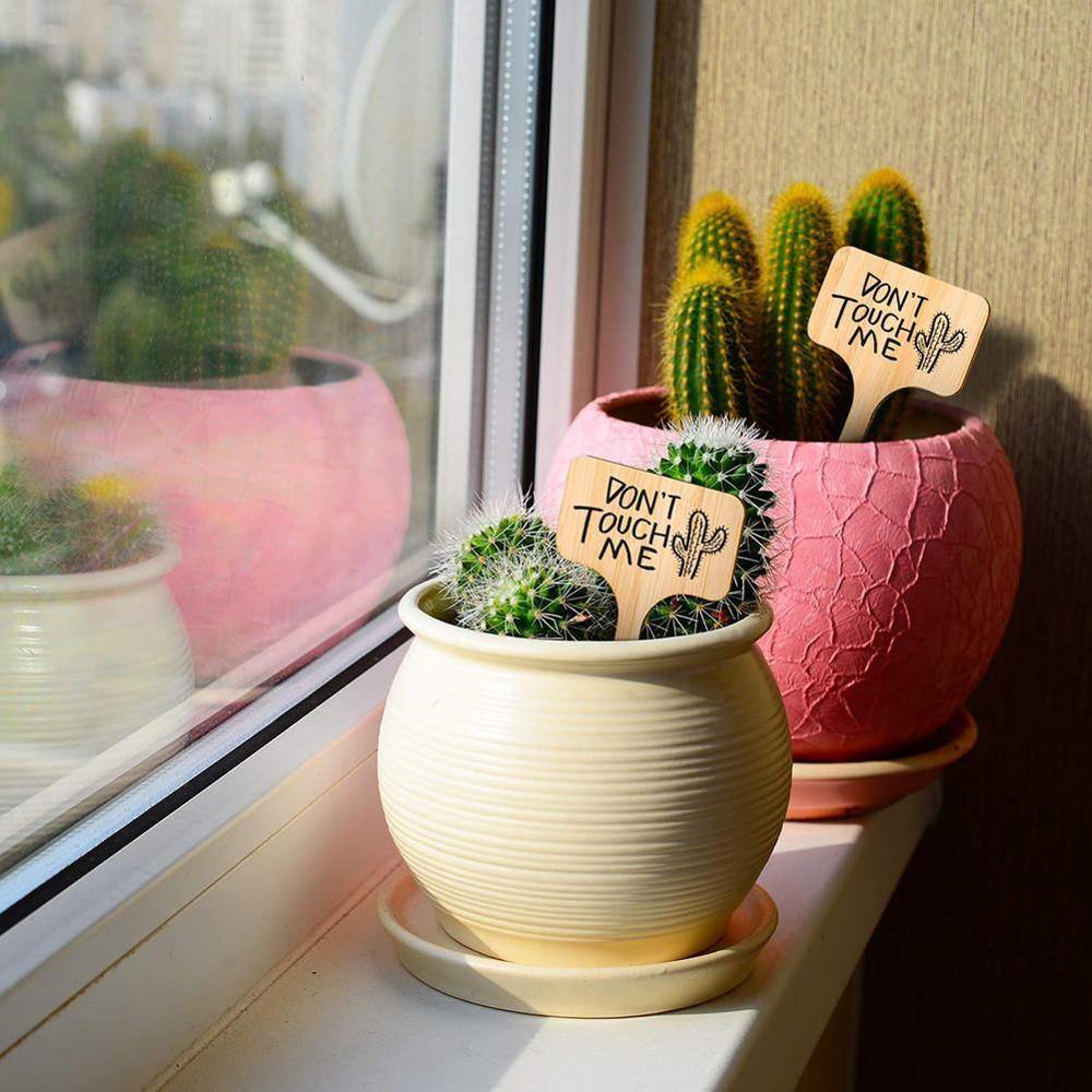 PlantSign - Bamboo plant signs for garden &amp; decoration
