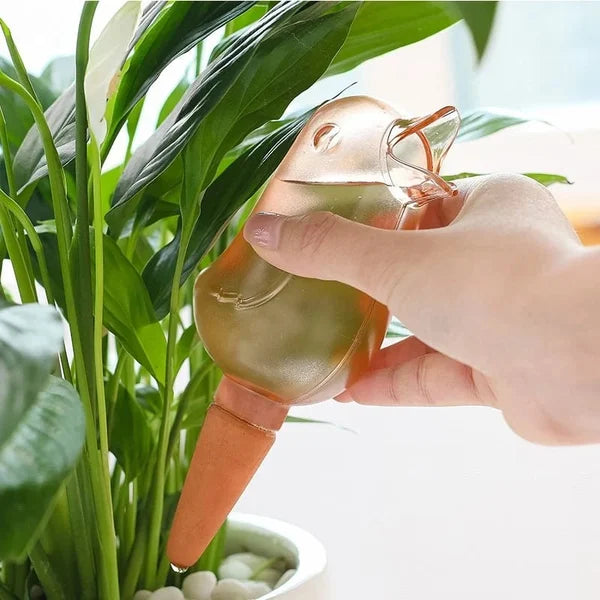 2+1 FREE | AquaBird - Automatic flower waterer [Last day sale]