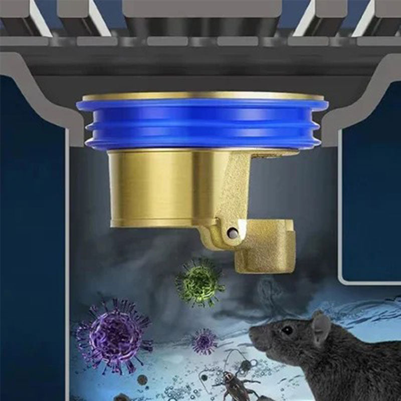 2+1 FREE | DrainGuard – No more odors and blockages! 
