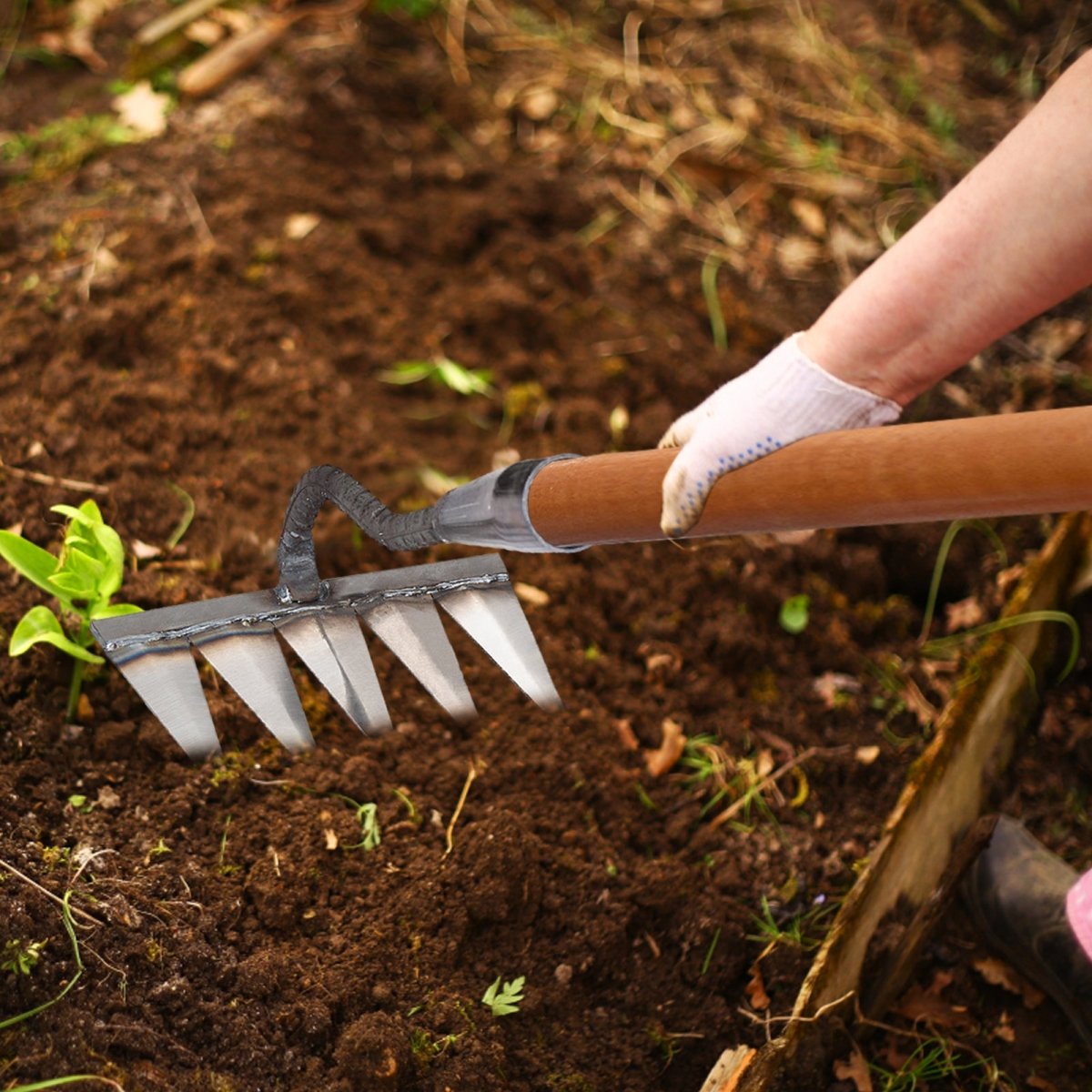 50% OFF | TerraRake - Weed Rake Tool [Last Day Sale] 