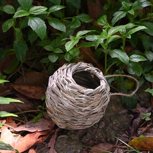 NestHaven - Provide hummingbirds with a safe home every year
