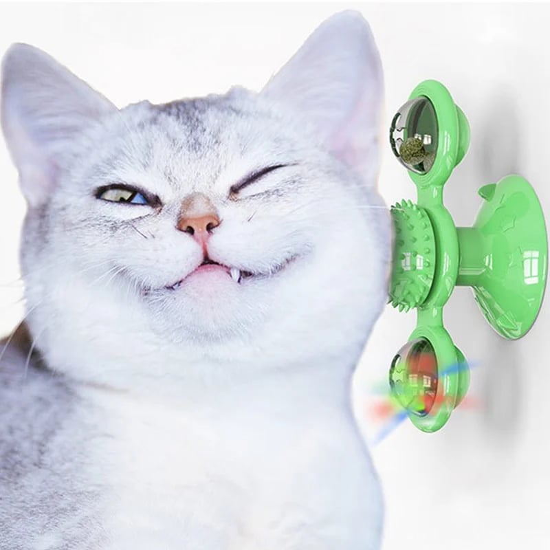 SpinPaw™ - Endless fun &amp; exercise for your cat!