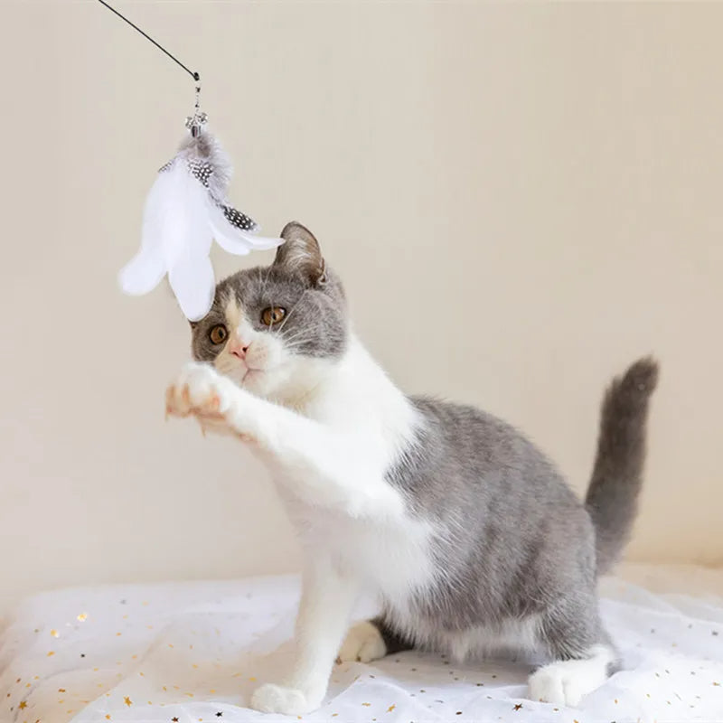 WildWing - Awaken your cat's inner hunter!