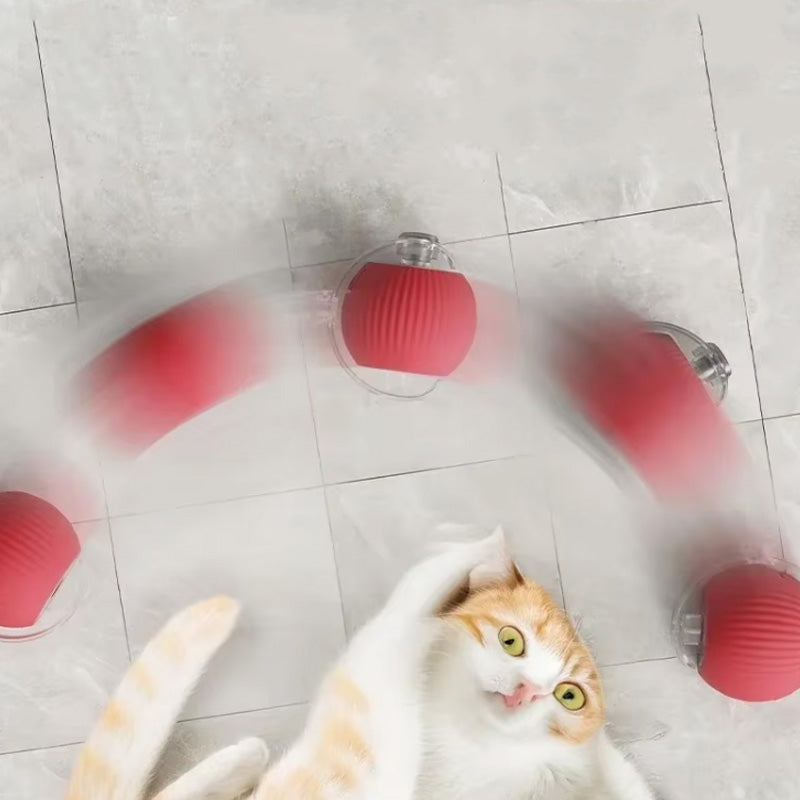 CatBounce™ - Interactive Indoor Cat Ball [Last Day Sale]
