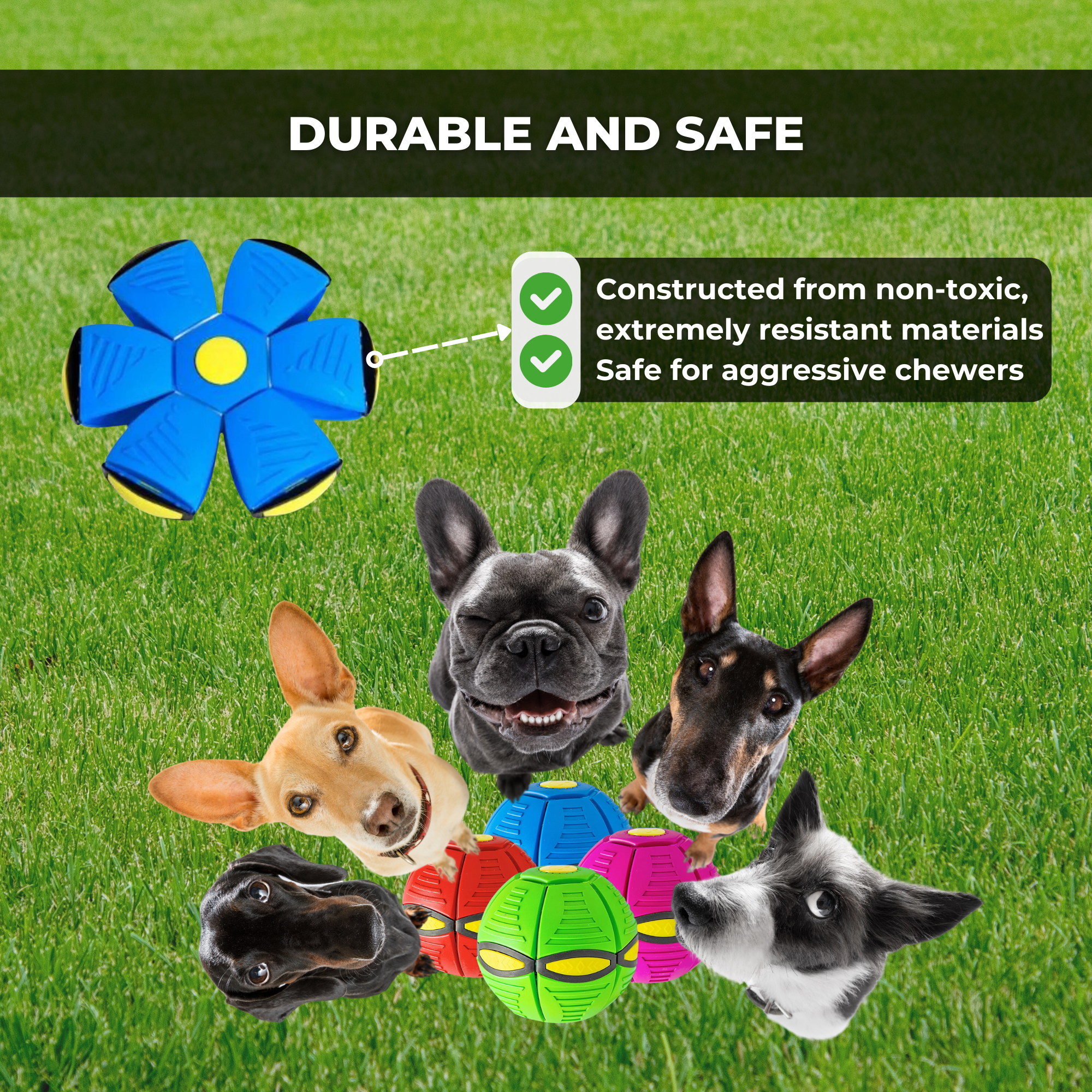 DogZoomer - Interactive Flying Dog Toy [Last Day Sale]