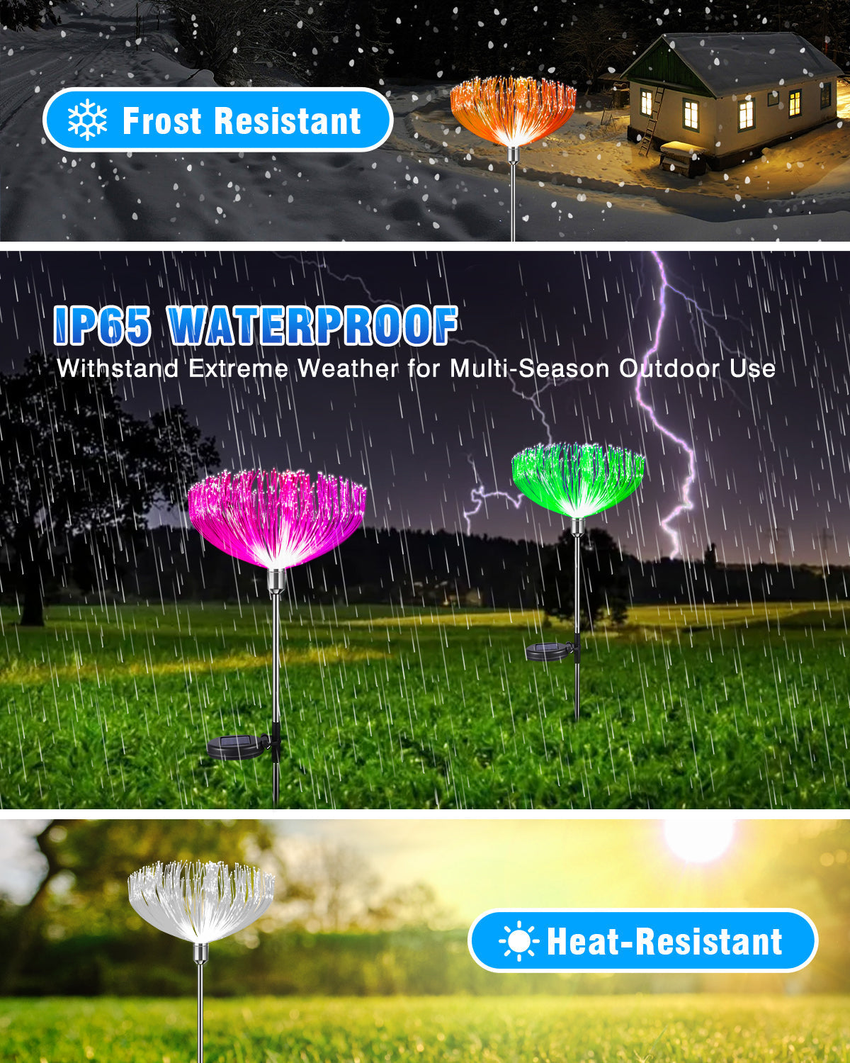 LumiPetal - Colorful sunflowers for your garden
