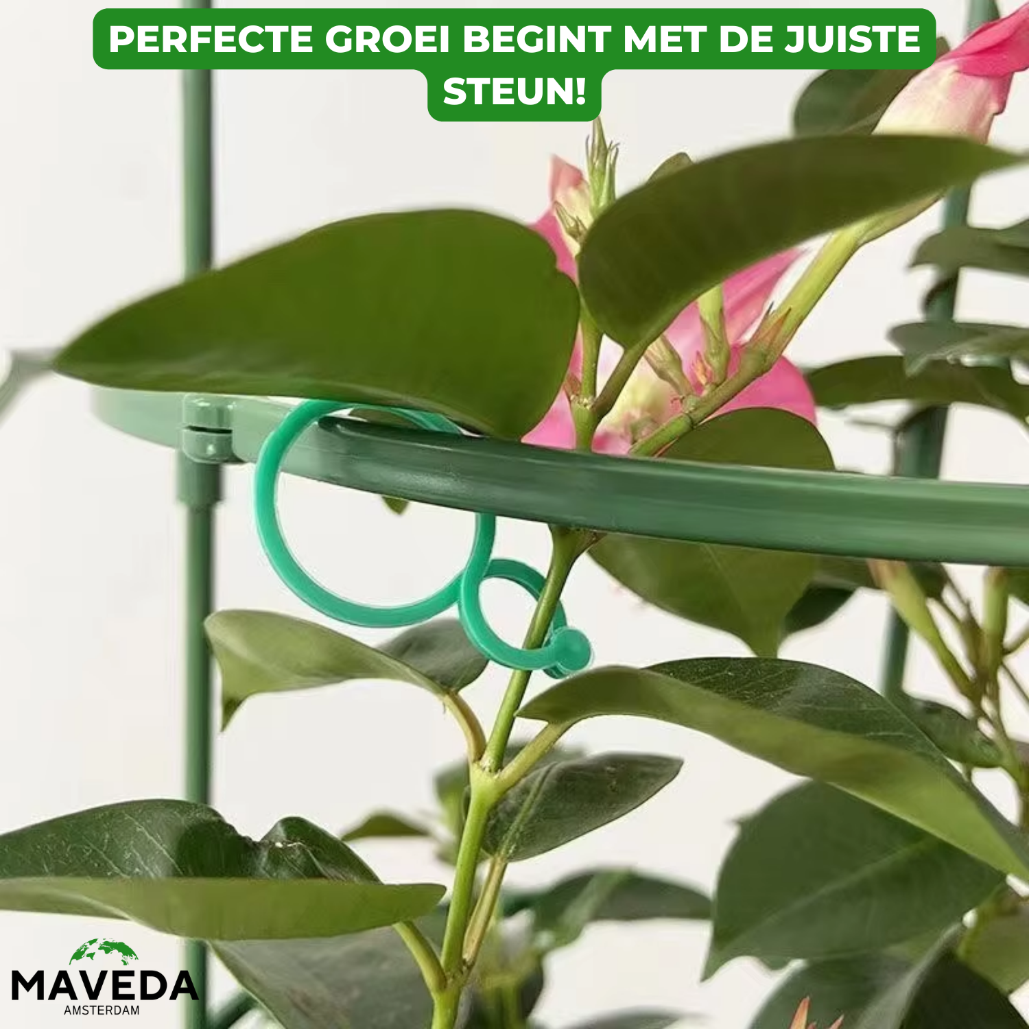 25+25 FREE | VineClamp™ - Plant Branch Holder