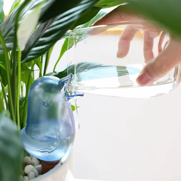 2+1 FREE | AquaBird - Automatic flower waterer [Last day sale]