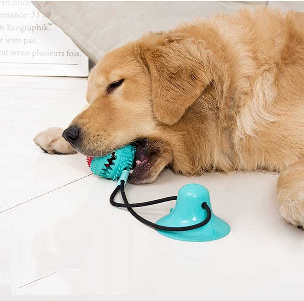 PupTug - Tug Rope for Pets [Last Day Sale] 