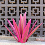 50% OFF | EternalAgave™ - Waterproof Eternal Agave Rustic Sculpture [Last Day Sale]