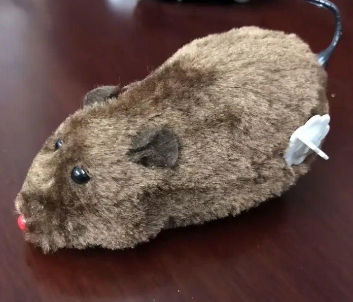 Interactief Opwindbaar Rennend Rat Speelgoed voor Huisdieren en Kinderen