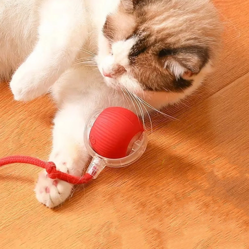 CatBounce™ - Interactive Indoor Cat Ball [Last Day Sale]