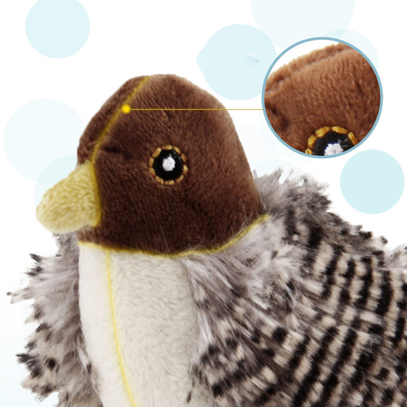 50% OFF | BirdyPurr - Your cat's safe playmate! [Last day of sale]