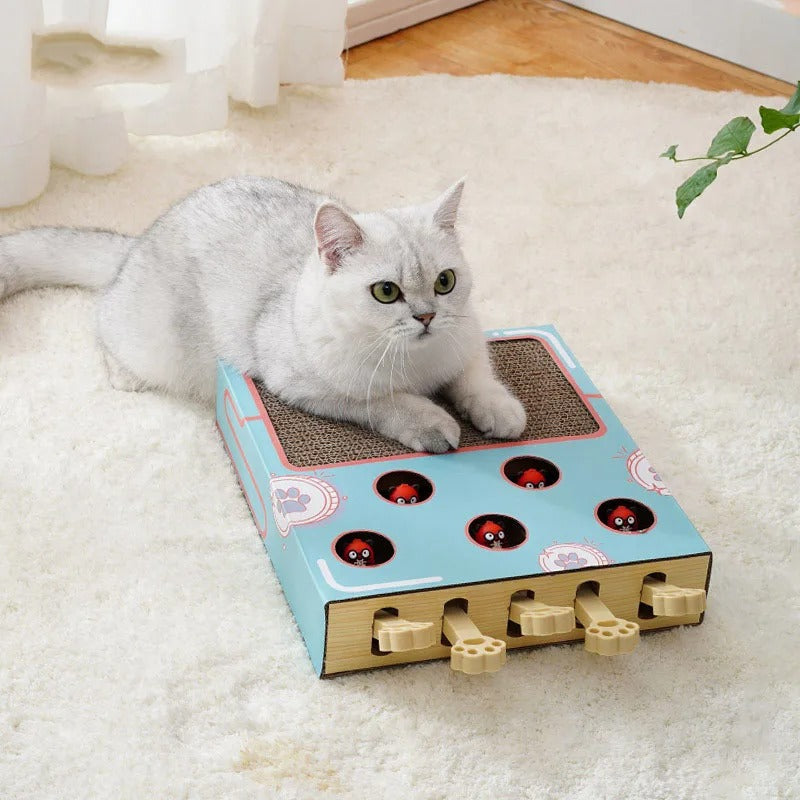 ScratchNest - Scratch, play &amp; chill all in one place!