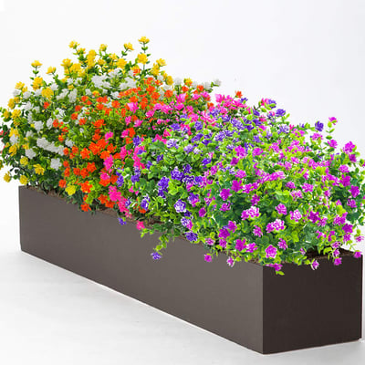 2+3 FREE | BloomAura - Natural floral splendor without maintenance