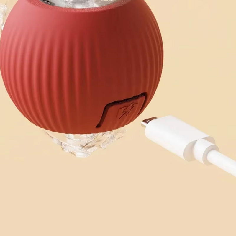 CatBounce™ - Interactive Indoor Cat Ball [Last Day Sale]
