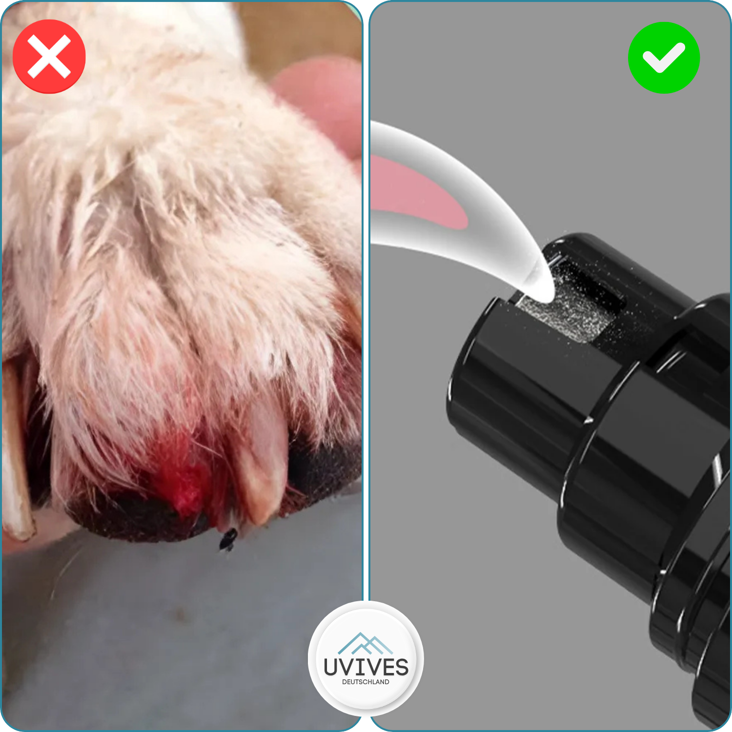 TrimPaw – Gentle and safe nail care for your dog
