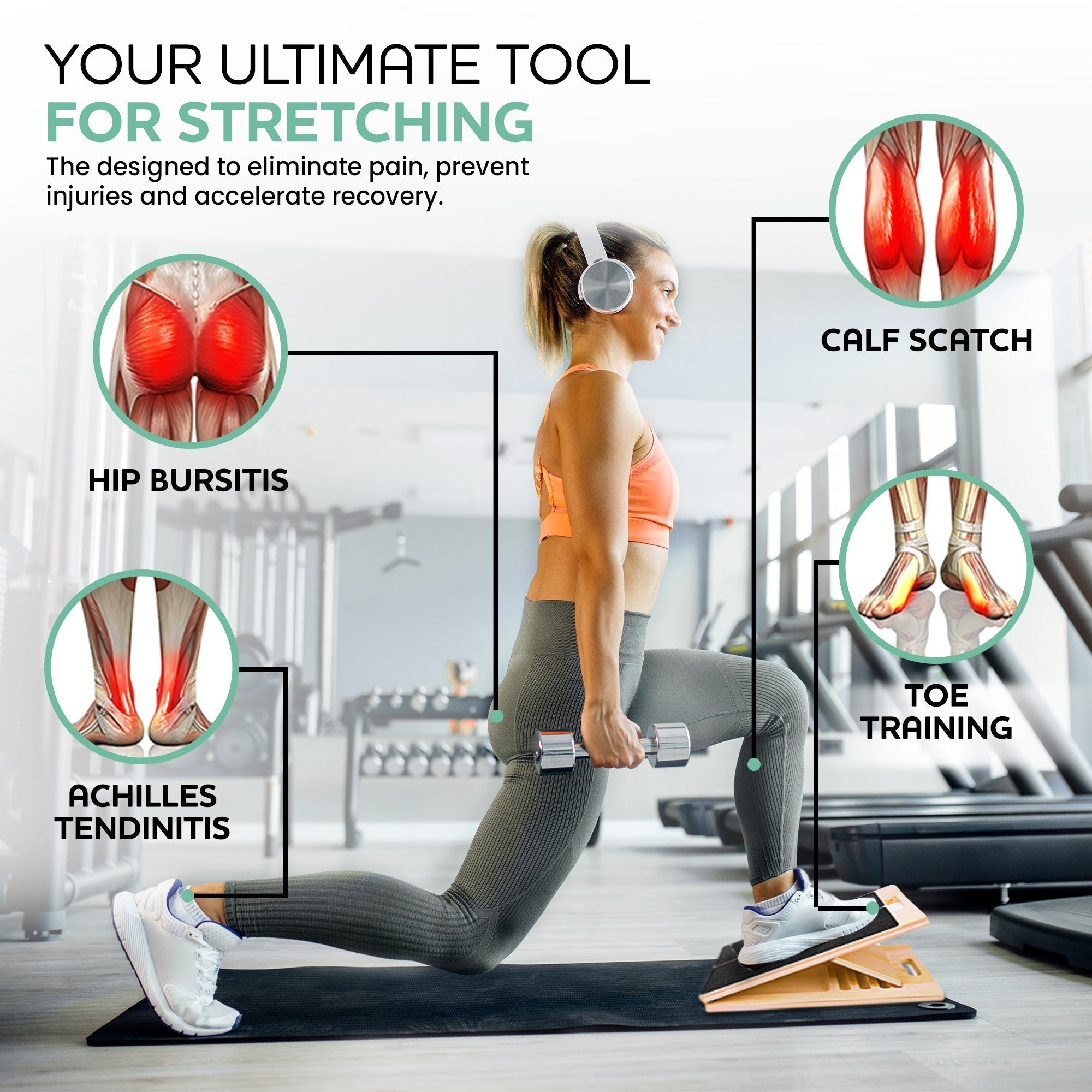 Dynamische Core Training Balansbord Antislip Fitnessapparatuur