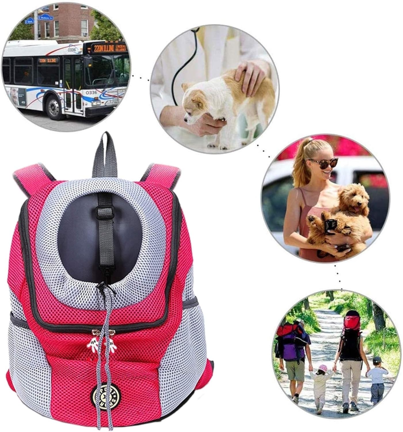PawCarry - Travel everywhere together