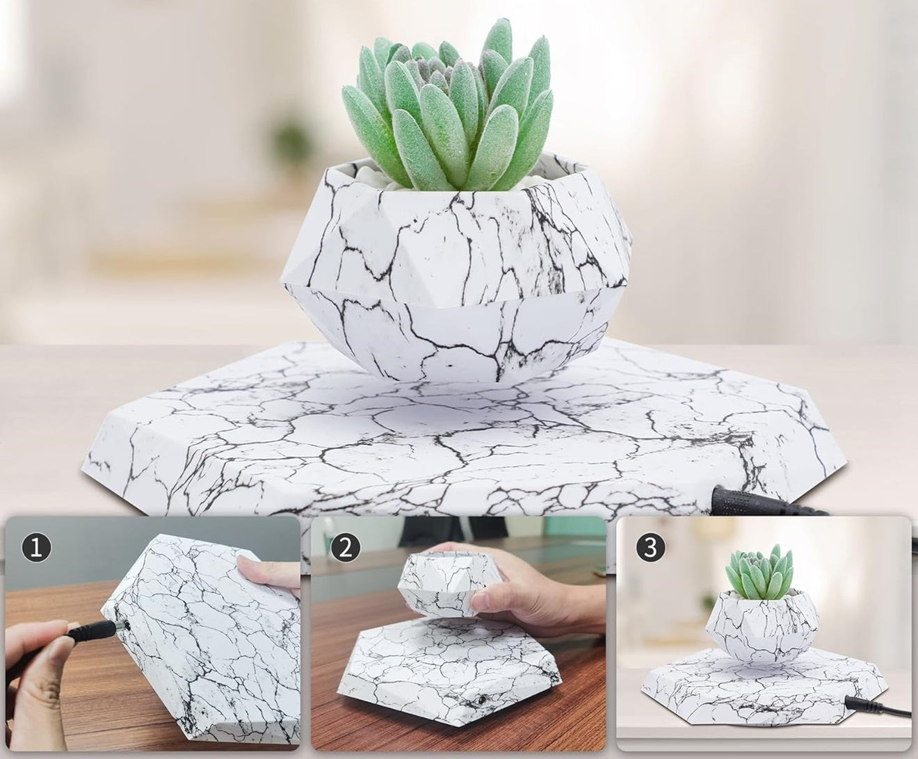 Plantlev - The floating plant that catches everyone's attention!